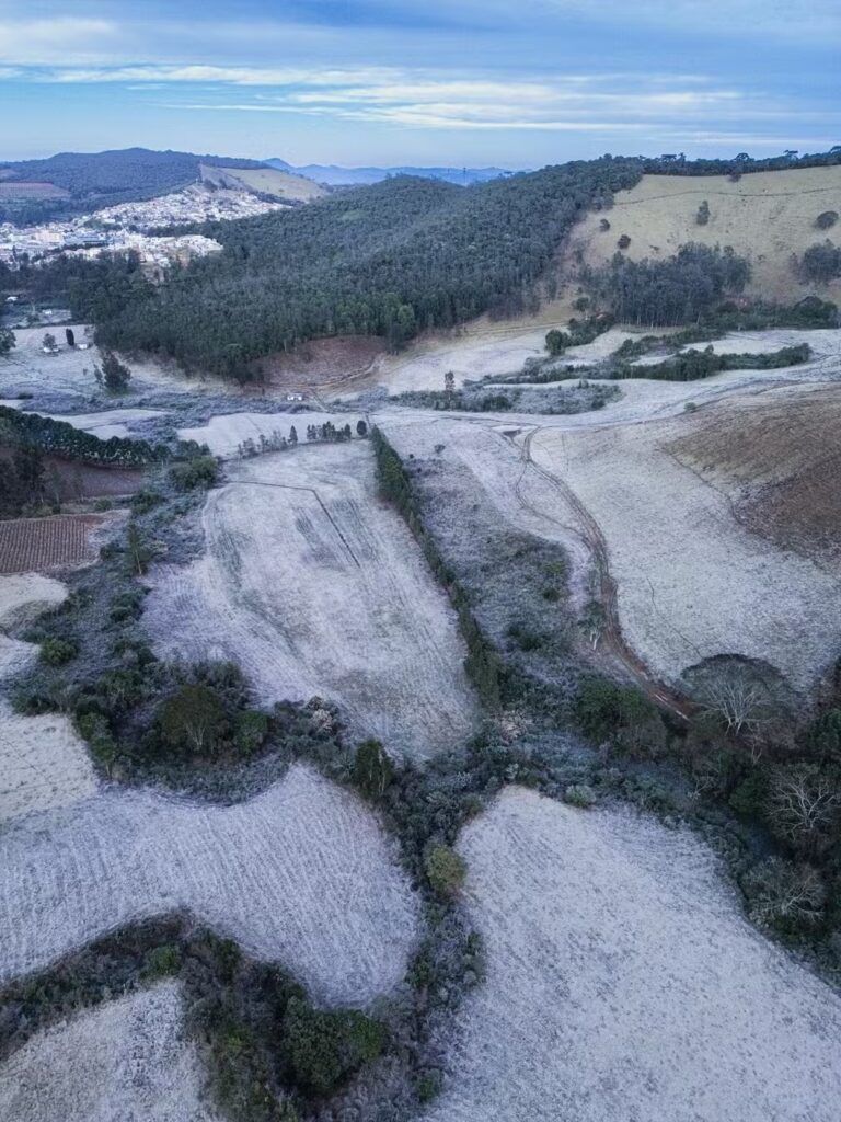 IMG 7898 Com -1,4 °C e geada, Monte Verde registra menor temperatura do país