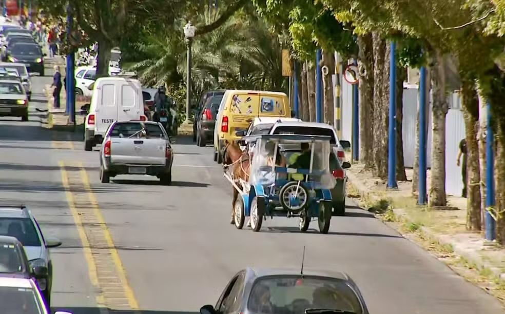 IMG 8233 Liminar suspende decisão que interrompeu licenças para condução de charretes em Poços de Caldas, MG