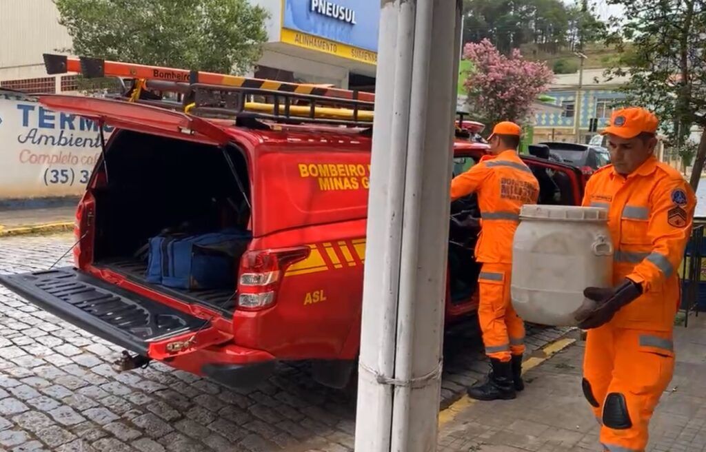 c6e48fdb 0943 4544 a886 abd265616ce1 Macaco resgatado no centro de São Lourenço foi devolvido ao Parque das Águas