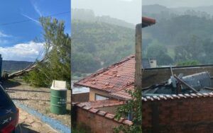 IMG 1364 Tempestade com granizo e ventos derruba árvores e causa transtornos em Lambari, MG